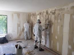 Asbestos and Lead Testing During Mold Inspection in Van Horn, TX